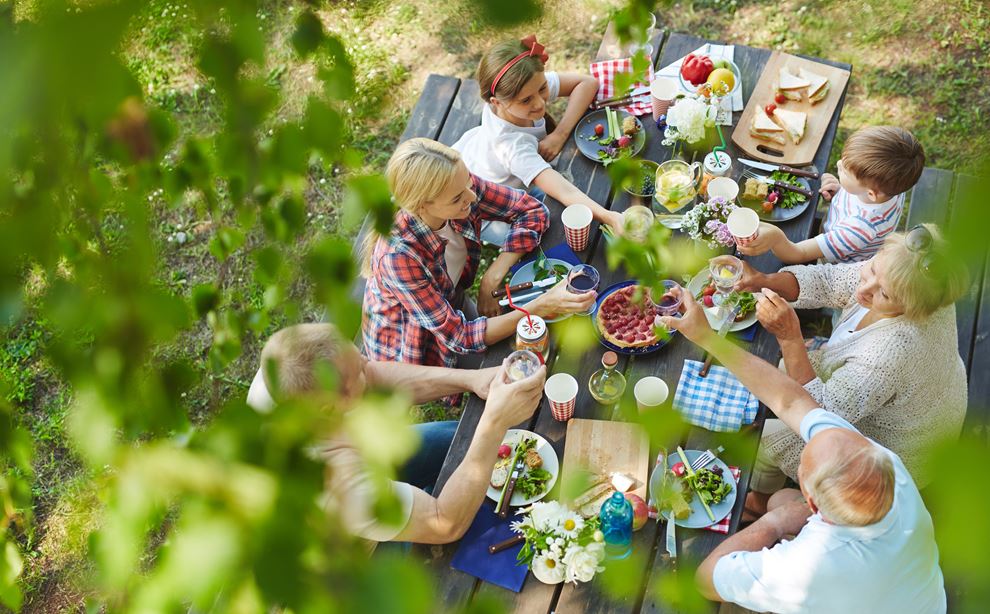 familie om sommeren spiser picnic